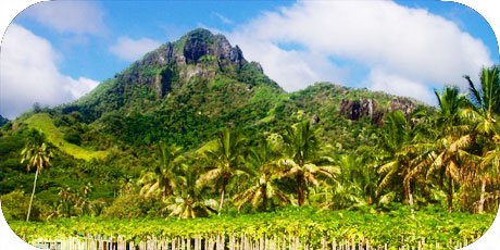 >>> Mount Ikurangi with Papaya plantation / photo © cookislands.com