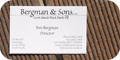 The Directors business card / Ben Bergman